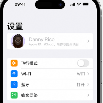 建德appleID维修服务iPhone设置中Apple ID显示为灰色无法使用 