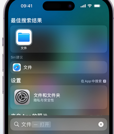 建德apple维修中心分享iPhone文件应用中存储和找到下载文件 