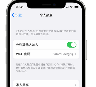 建德apple服务站点分享iPhone上个人热点丢失了怎么办 