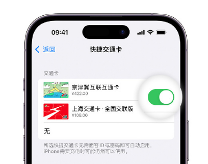 建德apple维修点分享iPhone上更换Apple Pay快捷交通卡手绘卡面 