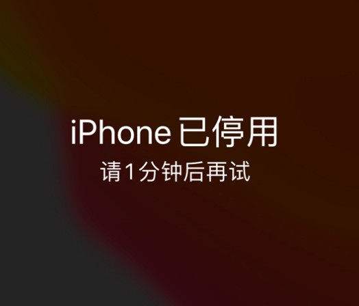 建德苹果手机维修分享:iPhone 显示“不可用”或“已停用”怎么办？还能保留数据吗？ 