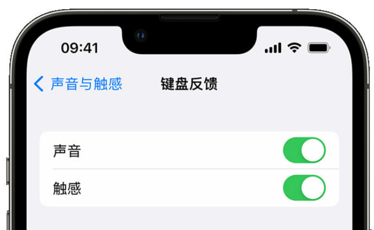 建德苹果手机维修分享iPhone 14触感键盘使用方法 