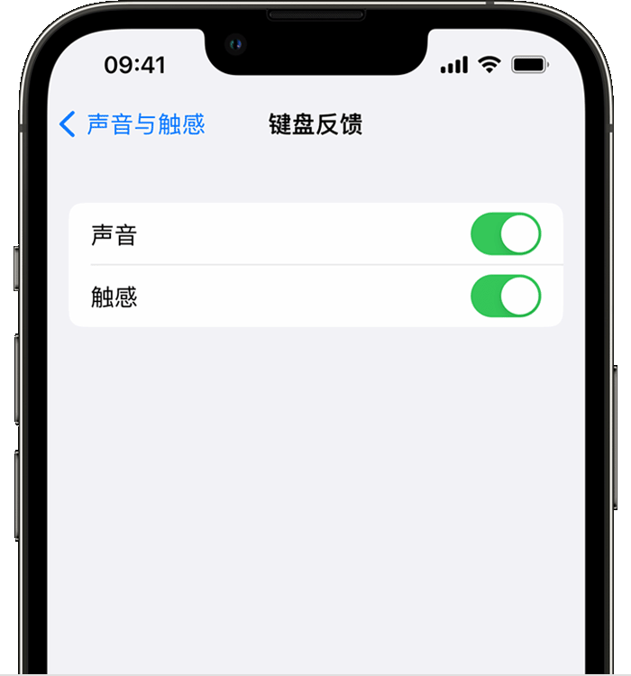 建德苹果14维修店分享如何在 iPhone 14 机型中使用触感键盘 