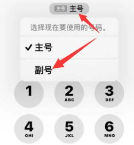 建德苹果14维修店分享iPhone 14 Pro Max使用副卡打电话的方法 