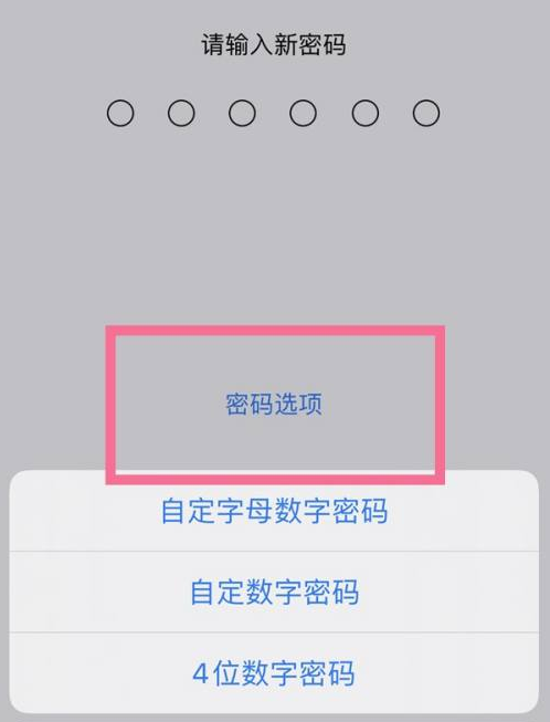 建德苹果14维修分享iPhone 14plus设置密码的方法 