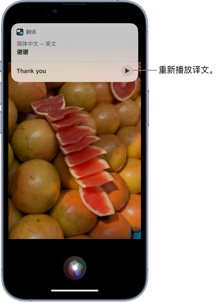 建德苹果14维修分享 iPhone 14 机型中使用 Siri：了解 Siri 能帮你做什么 