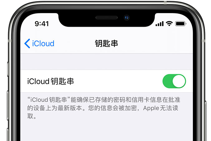 建德苹果手机维修分享在 iPhone 上开启 iCloud 钥匙串之后会储存哪些信息 