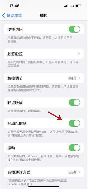 建德苹果手机维修分享iPhone手机如何设置摇一摇删除文字 