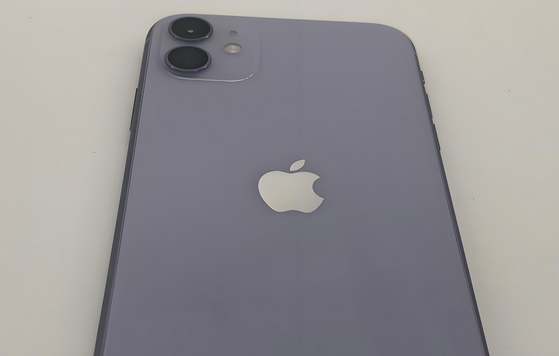 建德苹果11系统维修分享iPhone11手机系统崩溃无法开机如何解决 